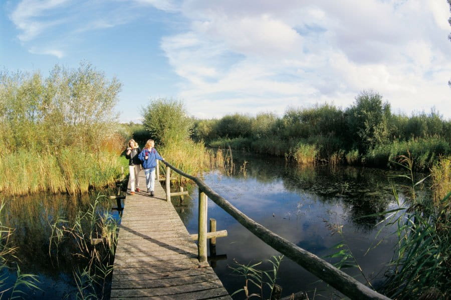 Biesbosch